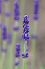 hvebrn3yqoql-xojand7a3v4phbberpemyx2yx7edjmmrmcdjpoxmkvut8xy1jp5x7olktohqmga6wf3yokg